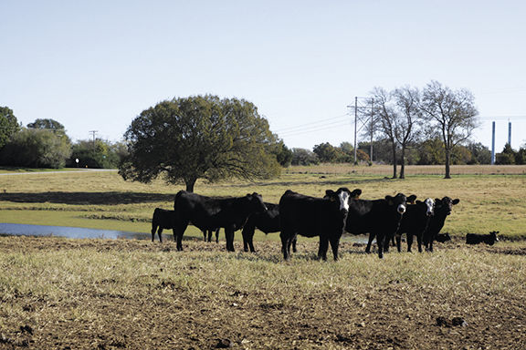 Gordon Farm